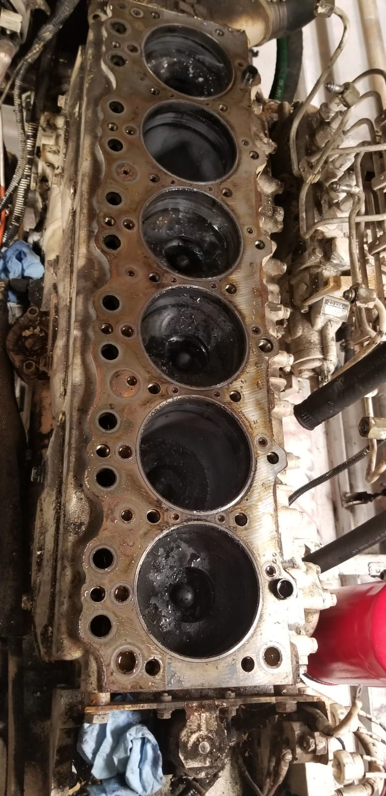 San Diego Marine Engine Repair_SeaNergy.
