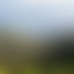 As environmental challenges grow