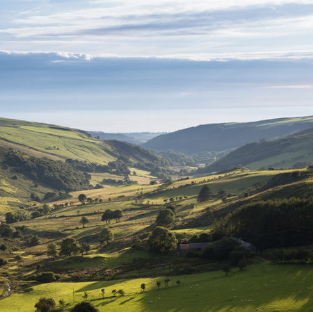 As environmental challenges grow