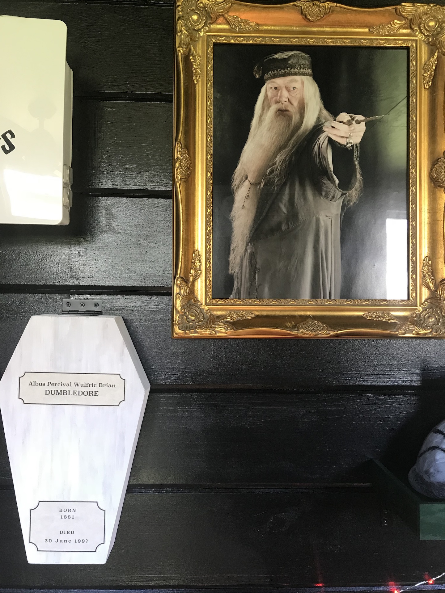 Professor Albus Dumbledore