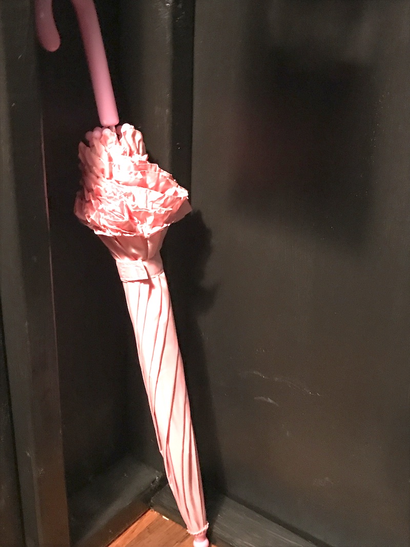 hagrid's wand in umbrella
