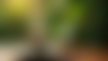 Descubra os segredos do café gourmet Da Mata