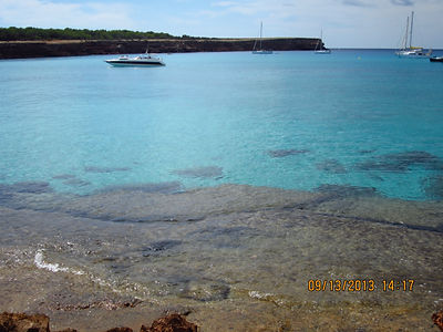 IMG_1533 (1).jpeg