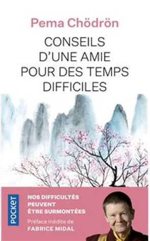 Pema Chodron Conseils d'une amie pour des temps difficiles