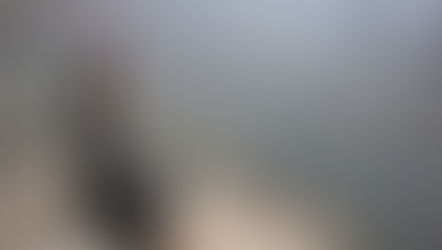 Riflessioni sul Valore della Pratica Marziale Completa