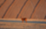 DSC_0323.jpg