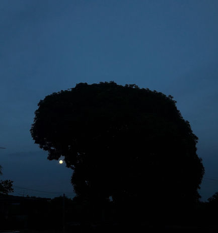 20180330_200653.jpg
