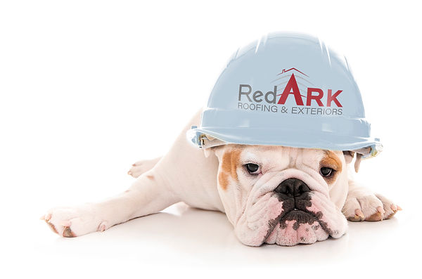 Red ARK ROOFING Dog