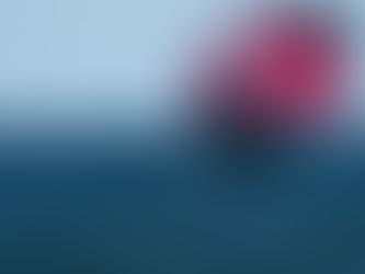 Discover Wingfoil at Surfing Bird — Theologos, Rhodes