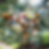 Red Stone Inn Floral Arch Piece