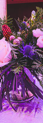 Corporate Christmas Centerpiece Museum of Nature and Science_edited.jpg