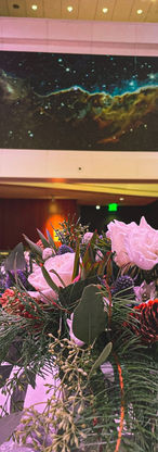 Corporate Christmas Centerpiece Museum of Nature and Science_edited.jpg