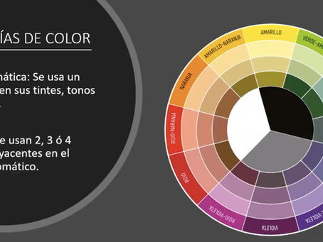 Capacitación Virtual Floral Armonía de Color