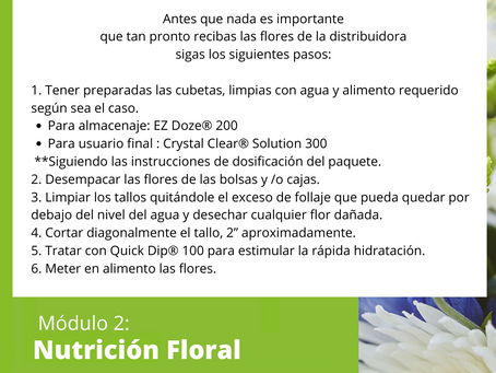 Nutrición Floral
