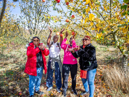 Amazing Autumn Activities in MK’s parks