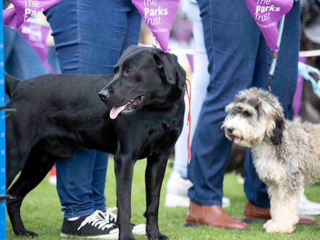 ENJOY A WEEKEND OF FUN ON THE ‘BARK’ SIDE!