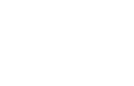 transparent.png
