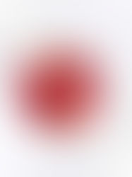 SLUSH ROUGE MAISON 