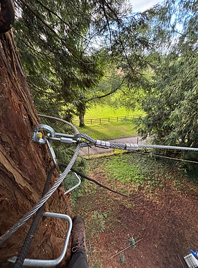 High Ropes Construction.HEIC