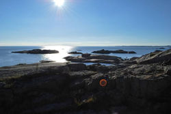 601642_10202744373279339_205002152_n