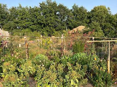 Vandee - photo credit Alessandra Marcon