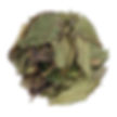 Bai Mu Dan - Thé Blanc