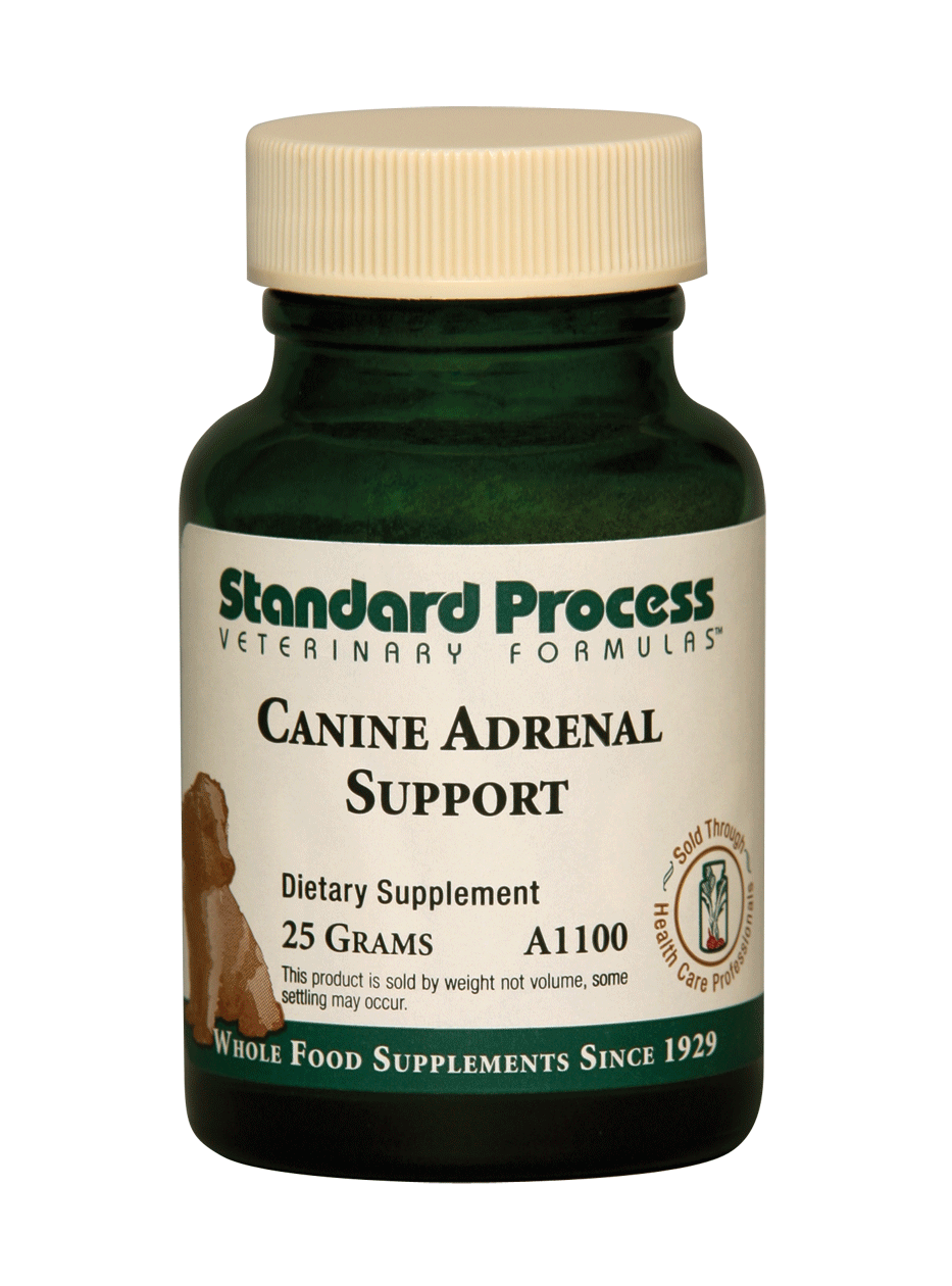 A1100canineadrenal.gif