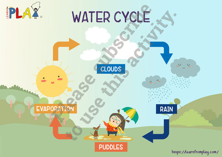 Dad's Wishing the Rain Would Come! - Science Flowchart