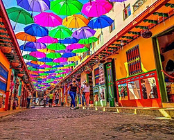 WhatsApp Image 2026-01-26 at 21.09.14 (3).jpeg