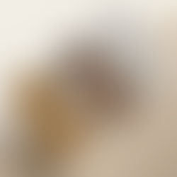 Crafting a Social Media Strategy That Works: Your Go-To Guide