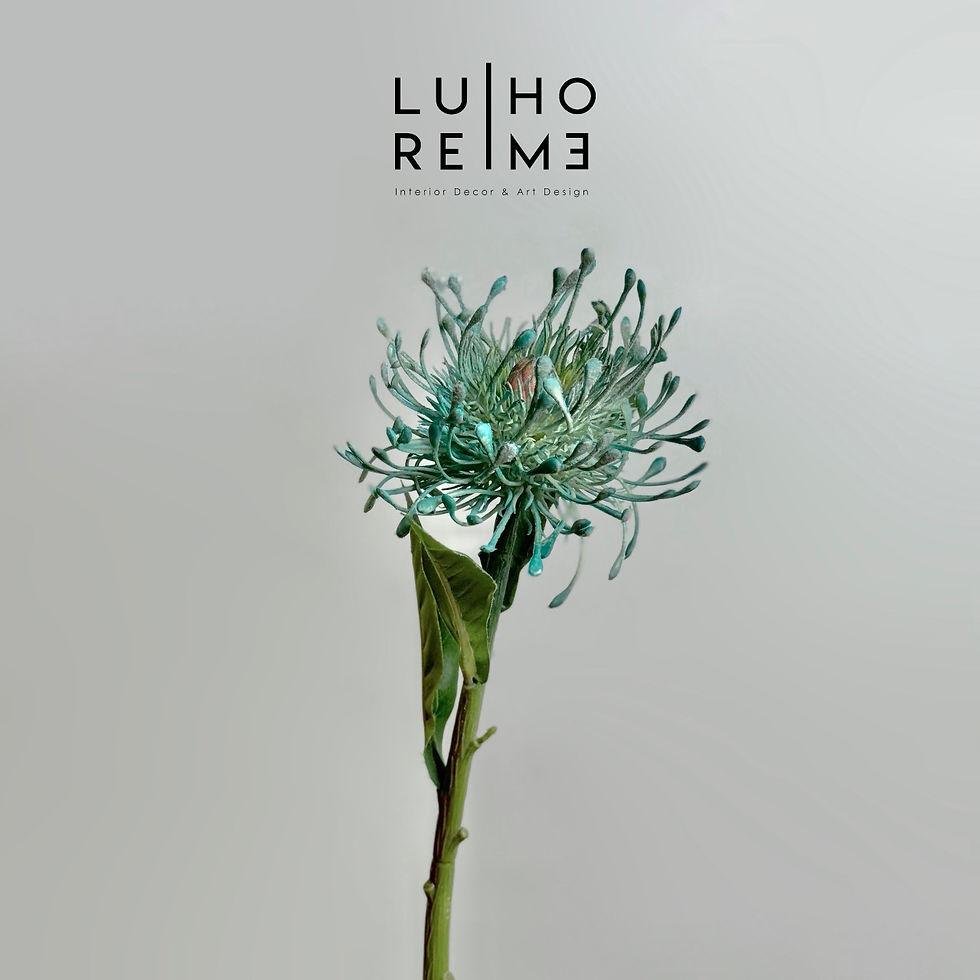 Thumbnail: HOA CLEOME