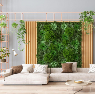Studio 12 Inch Sustainable Living: Small Changes, Big Impact