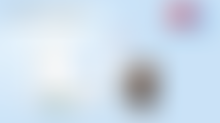Salesforce Service Cloud | RapidForce