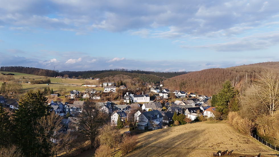 DJI_20250226164720_0053_D.JPG
