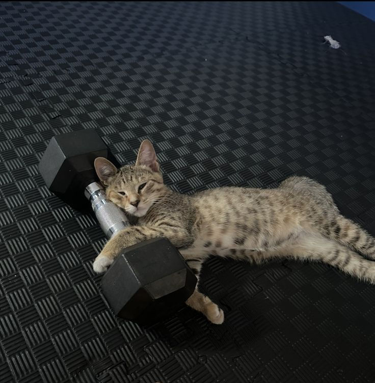 mimiiiii.jpg