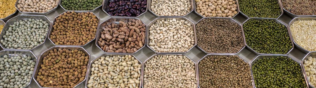 pulses_FAO_Atul-Loke.jpg