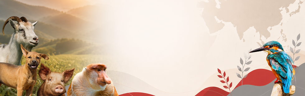Regional webpage banner (1).png