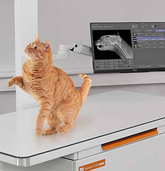 Digital Xray vet systems Amadeo mini_edited.jpg