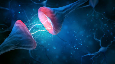 Neuroplasticity: Experience Changes Your Brain