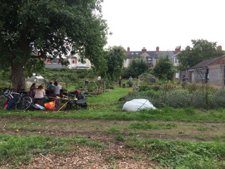 THINKING AND DOING IN THE GARDEN AND KITCHEN