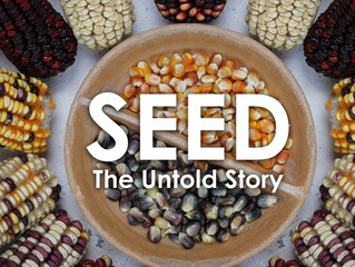STORIES OF SEEDS @JANUARY SUPPER