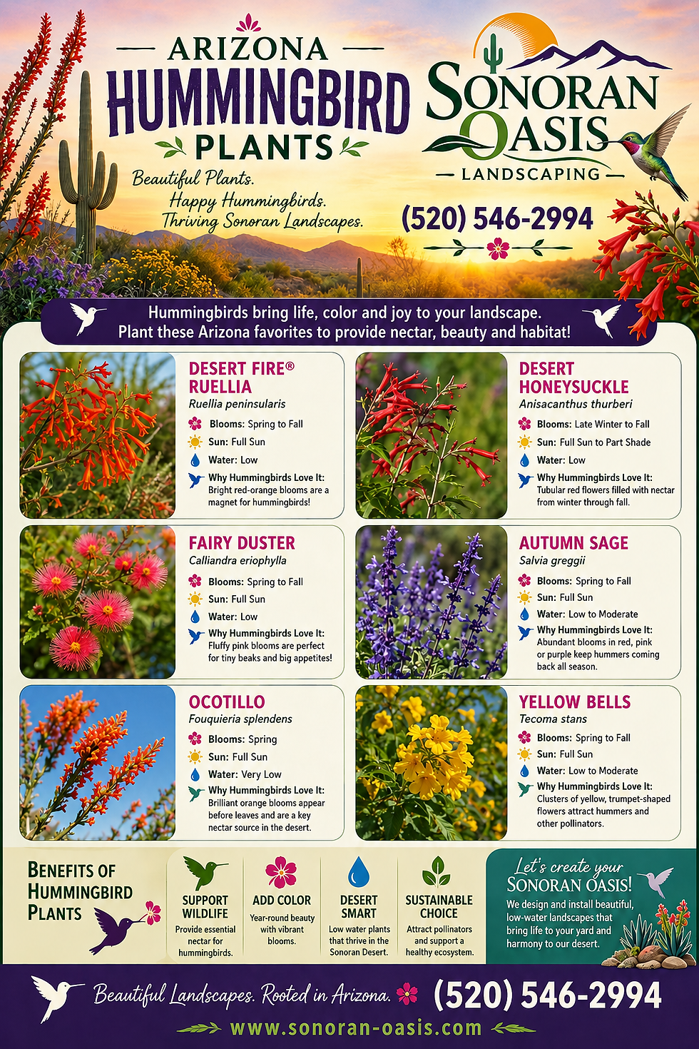 hummingbird plants graphic