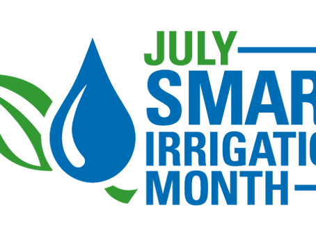 Maintain your irrigation system & consider high-value upgrades: Why & how often?