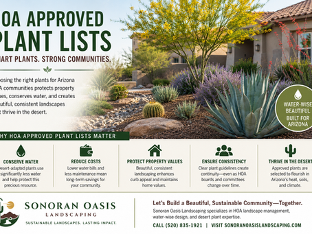 Desert landscaping in front of house