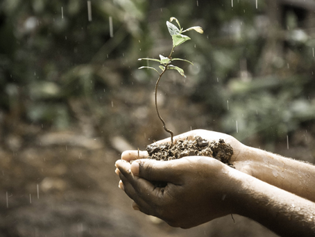 Unlocking the Secrets of Soil Structure: How it Affects Plant Growth