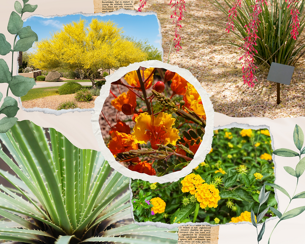 Collage of desert plants with bright yellow tree, pink yucca flowers, agave, and marigolds. Torn paper edges, green leaves border.