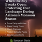 Monsoon Storm