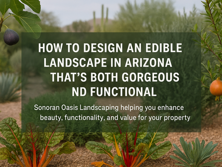 How to Design an Edible Landscape in Arizona That’s Both Gorgeous and Functional