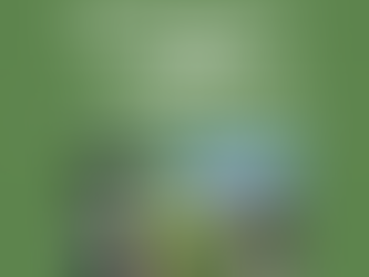 Hot, Dry & Dirty...Slipper Plants Can Handle It!