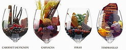 Los-aromas-del-vino_1.jpg